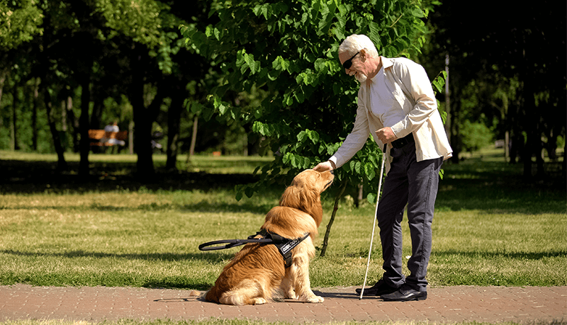 Deem and the Canadian National Institute for the&nbsp;Blind